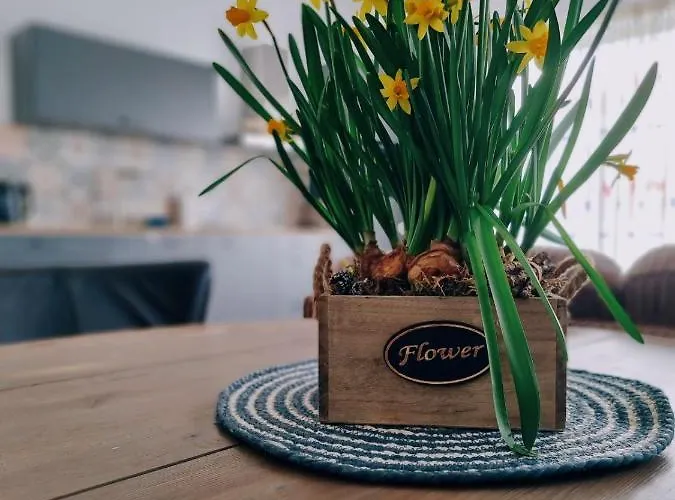 De Bloemenkwekerij Сasa de vacaciones Egmond-Binnen