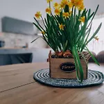 De Bloemenkwekerij Holiday home Egmond-Binnen